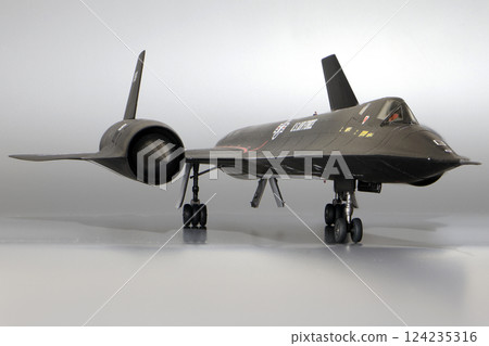 airplane, Jet Plane, flying 124235316