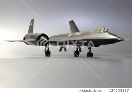 飛機 蒼蠅 飛翔 124235317