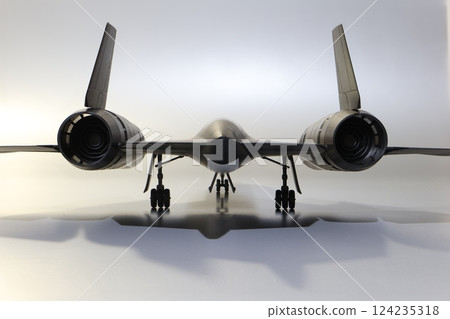 飛機 蒼蠅 飛翔 124235318