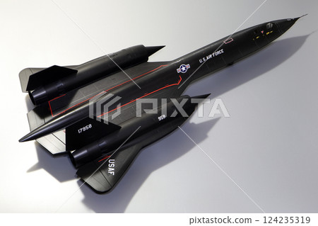 飛機 噴氣式飛機 蒼蠅 124235319