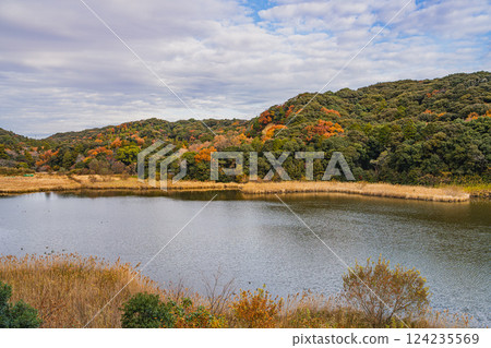 磐田市桶谷濕地的紅葉(靜岡縣) 磐田市桶谷濕地的紅葉(靜岡縣) 124235569