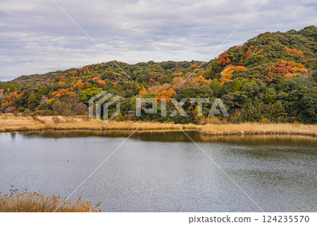 磐田市桶谷濕地的紅葉（靜岡縣） 124235570
