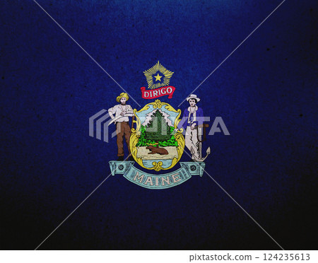 Flag of Maine on a paper Flag of Maine on a paper 124235613