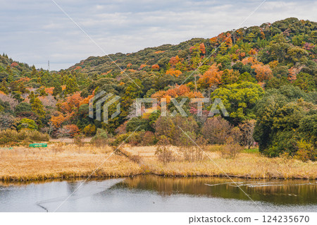 磐田市桶谷濕地的紅葉(靜岡縣) 磐田市桶谷濕地的紅葉(靜岡縣) 124235670