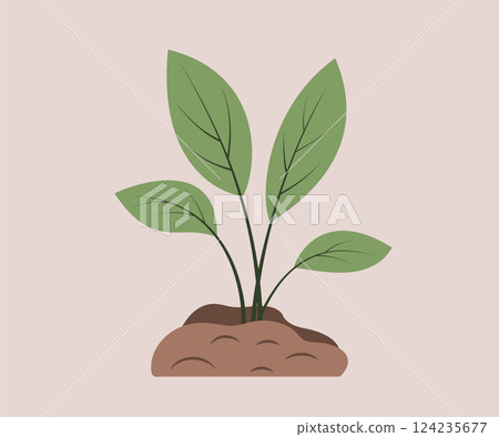 Spring seedling. Young Plant development. Concept of New beginning, Gardening, Agriculture, Ecology. Element for design. 124235677