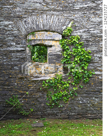 Vines climbing stone wall reveal glimpses of nature behind the ancient ruins during daylight. 124235727