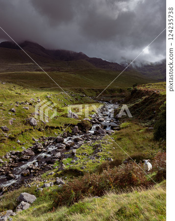 Exploring the serene Gaddagh River in the lush Irish countryside surrounded by majestic mountains. 124235738