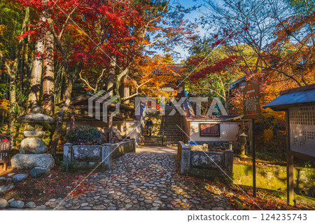 A view of the prayer gate of Yusanji Temple, surrounded by autumn leaves, seen from the approach to the temple in the morning in Fukuroi City (Shizuoka Prefecture) 124235743