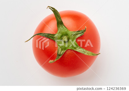 新鮮的西紅柿 124236369