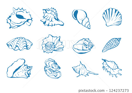 Hand drawn sea shells set in sketch style Hand drawn sea shells set in sketch style 124237273