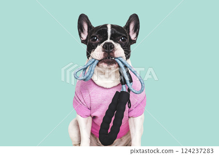 Cute puppy and leash. Preparing for morning walk Cute puppy and leash. Preparing for morning walk 124237283