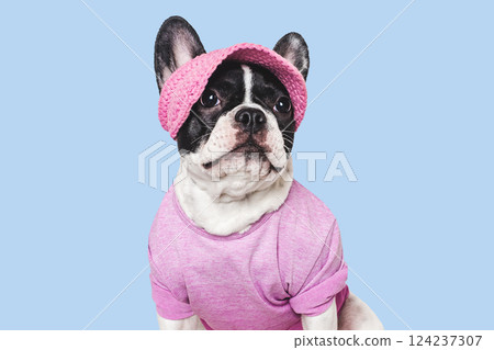 Cute puppy, sports jersey and cap. Preparing for training 124237307