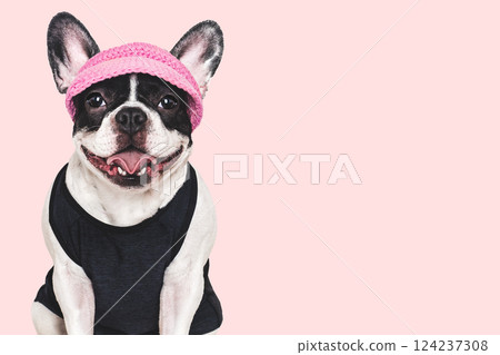 Cute puppy, sports jersey and cap. Preparing for training 124237308