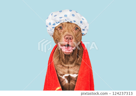 Cute dog, shower cap and towel 124237313