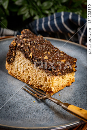 A piece of cake with poppy seeds. A piece of cake with poppy seeds. 124238580