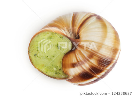 escargot snail filled with garlic and parsley butter isolated on white background. Top view. Flat lay 124238687