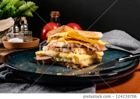 Grilled cheese sandwich. Grilled cheese sandwich. 124238706
