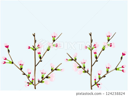 櫻花和樹枝的矢量圖解 124238824