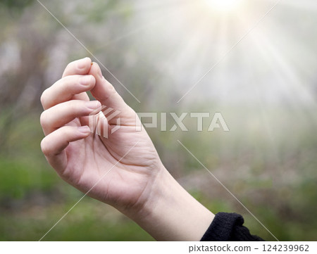 Hand holding a small mustard seed Hand holding a small mustard seed 124239962