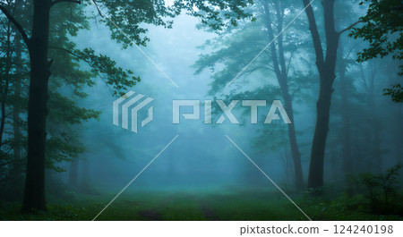 A mysterious, misty forest, a world of silence 124240198