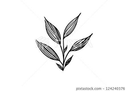 Hand-drawn ink sketch of minimal plant, black forts for graphic design. Engraved style vector illustration. Hand-drawn ink sketch of minimal plant, black forts for graphic design. Engraved style vector illustration. 124240376