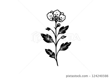 Hand drawn ink sketch of meadow wild flower. Engraved style vector illustration. 124240386