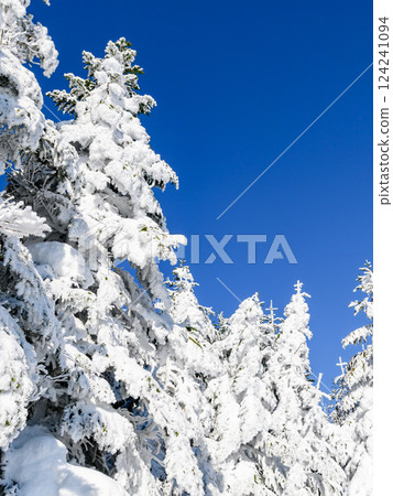 晴空萬裡雪景(登山) 晴空萬裡雪景(登山) 124241094