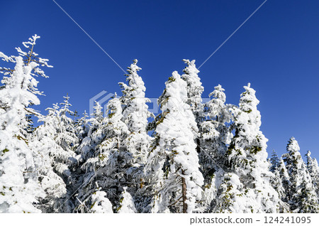 Clear skies and snowy scenery (mountain climbing) Clear skies and snowy scenery (mountain climbing) 124241095