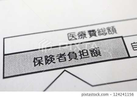 Documents regarding medical expenses to be paid by the insurer 124241156