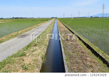 Farm roads and agricultural waterways Rural scenery Farm roads and agricultural waterways Rural scenery 124241429