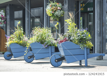 札幌市瀧野鈴蘭丘陵公園東門植樹 124241915