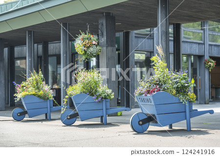 札幌市瀧野鈴蘭丘陵公園東門植樹 124241916