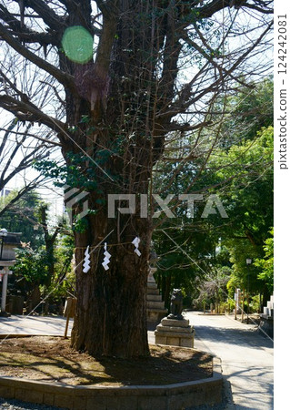7741 鳩森八嶺神社 124242081