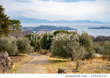 Olives at Ushimado Olive Garden and the Seto Inland Sea 124242217