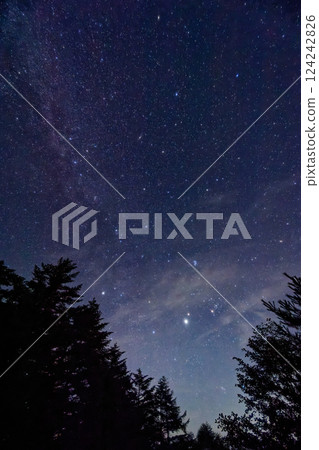 從八嶽山脈的天陽山看到的星空 124242826