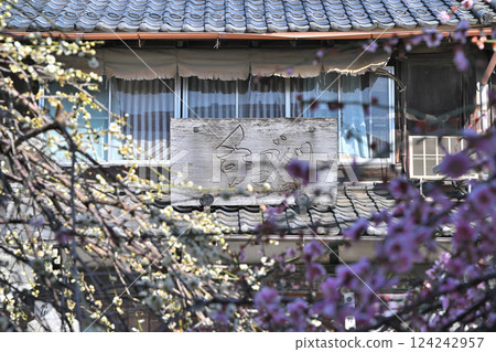 Plum blossoms in full bloom, Naritasan Kawagoe Betsuin temple grounds, Kawagoe city Plum blossoms in full bloom, Naritasan Kawagoe Betsuin temple grounds, Kawagoe city 124242957