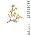 洛白花 124243083