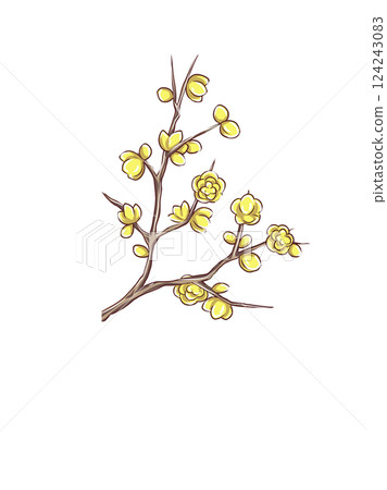 Lobai flower 124243083