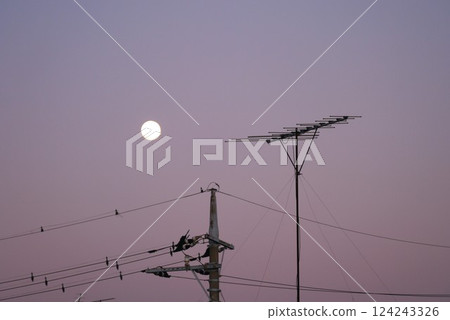 That figure standing tall facing the full moon. Oh TV antenna, show us something great today. That figure standing tall facing the full moon. Oh TV antenna, show us something great today. 124243326