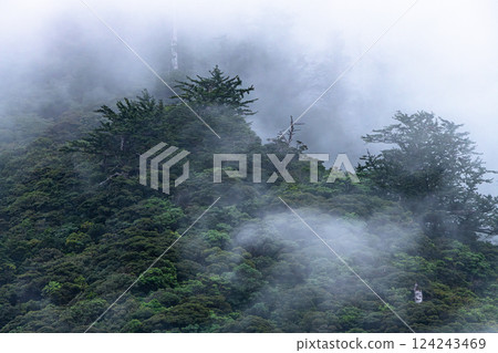 世界遺產屋久島,宛如一幅水彩畫,是一座神靈居住的山。 (秋) 世界遺產屋久島,宛如一幅水彩畫,是一座神靈居住的山。 (秋) 124243469
