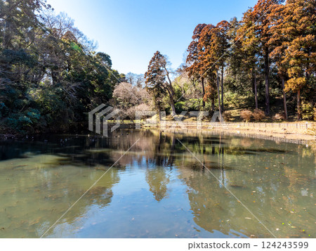 Under a clear winter sky, the quiet and relaxing Ubagaike Pond in Sakura Castle Park Under a clear winter sky, the quiet and relaxing Ubagaike Pond in Sakura Castle Park 124243599