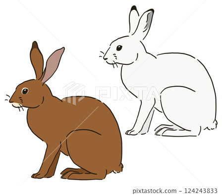 Illustration of a sitting Japanese hare 124243833