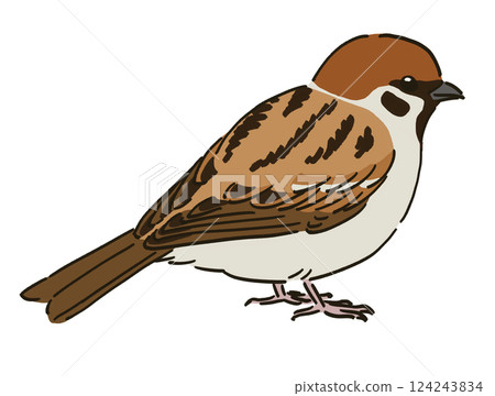 麻雀剪貼畫 124243834