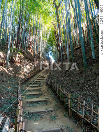 The solemn scenery of Hiyodorizaka, an ancient samurai path surrounded by bamboo forests unchanged since the Edo period The solemn scenery of Hiyodorizaka, an ancient samurai path surrounded by bamboo forests unchanged since the Edo period 124244065