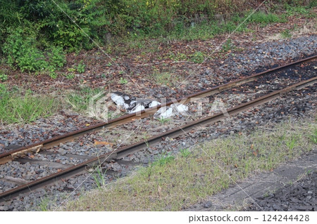 Shimodate Station Shimodate Station 124244428