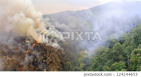 Wildfires release carbon dioxide (CO2) emissions and other greenhouse gases (GHG) that contribute to climate change. 124244653