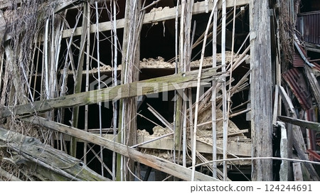 Ruins Ruins 124244691