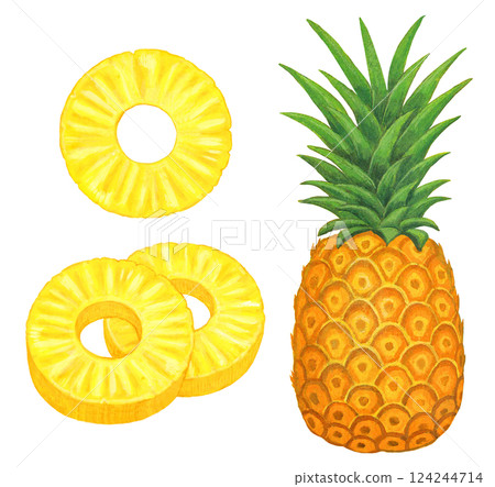 菠蘿插圖集 菠蘿插圖集 124244714