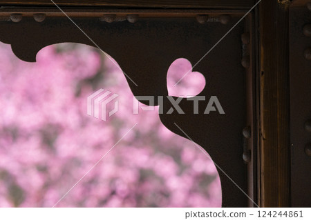 京都興正寺：心形盛開的梅花 124244861