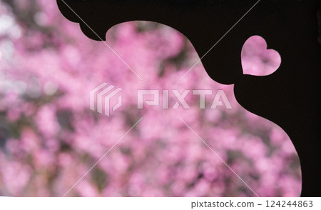 京都興正寺:心形盛開的梅花 京都興正寺:心形盛開的梅花 124244863